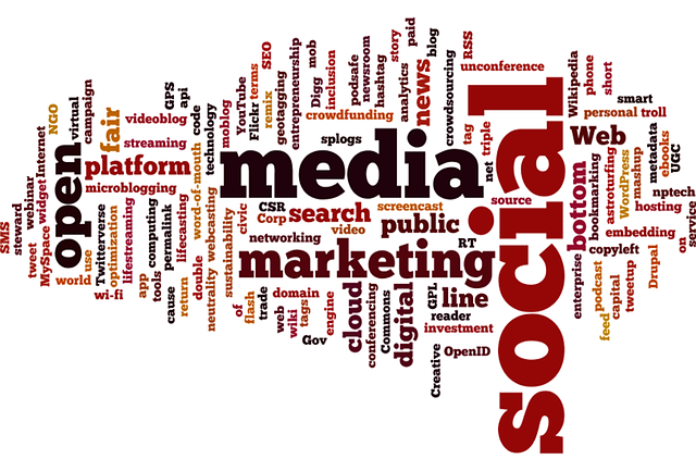 SEO digital marketing
